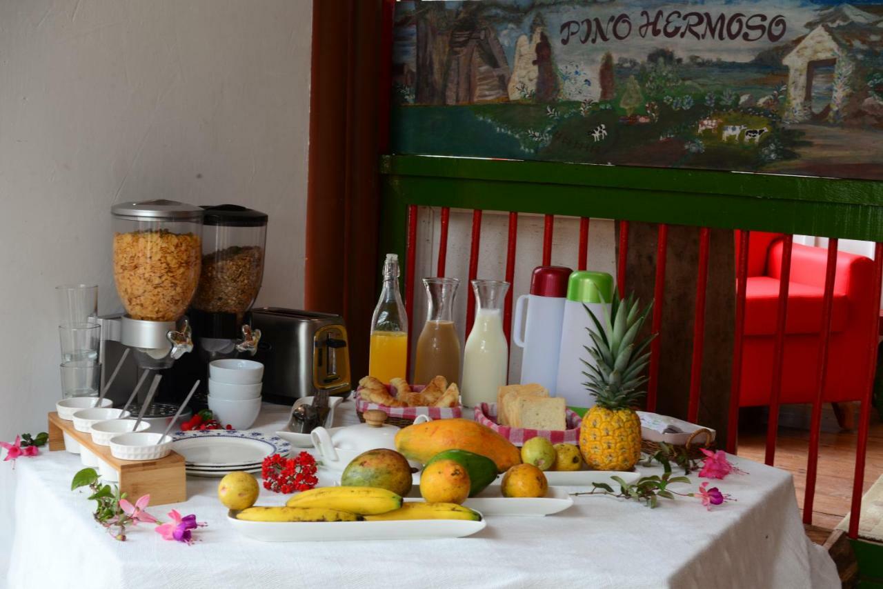 Ecohotel Pinohermoso Reserva Natural Salento Exterior photo